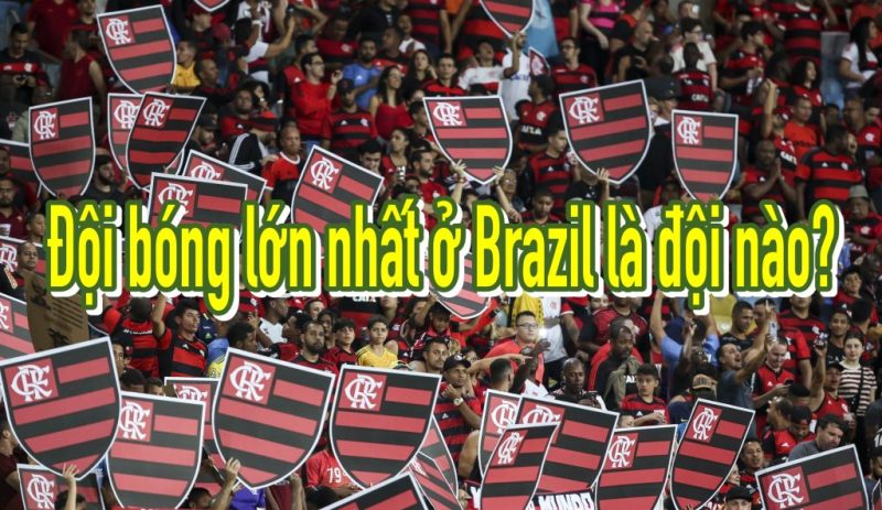 Đội bóng lớn nhất ở Brazil là đội tuyển nào